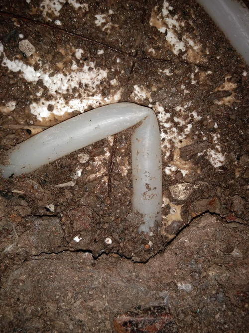 抚松堵点精准查找